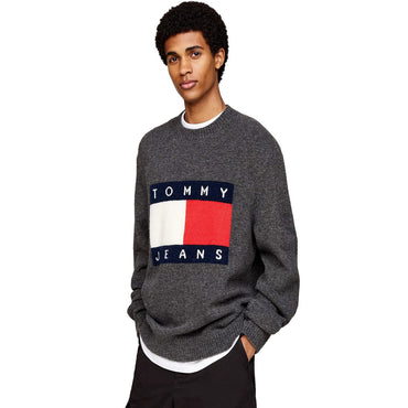 Tommy Jeans Pullover Herren