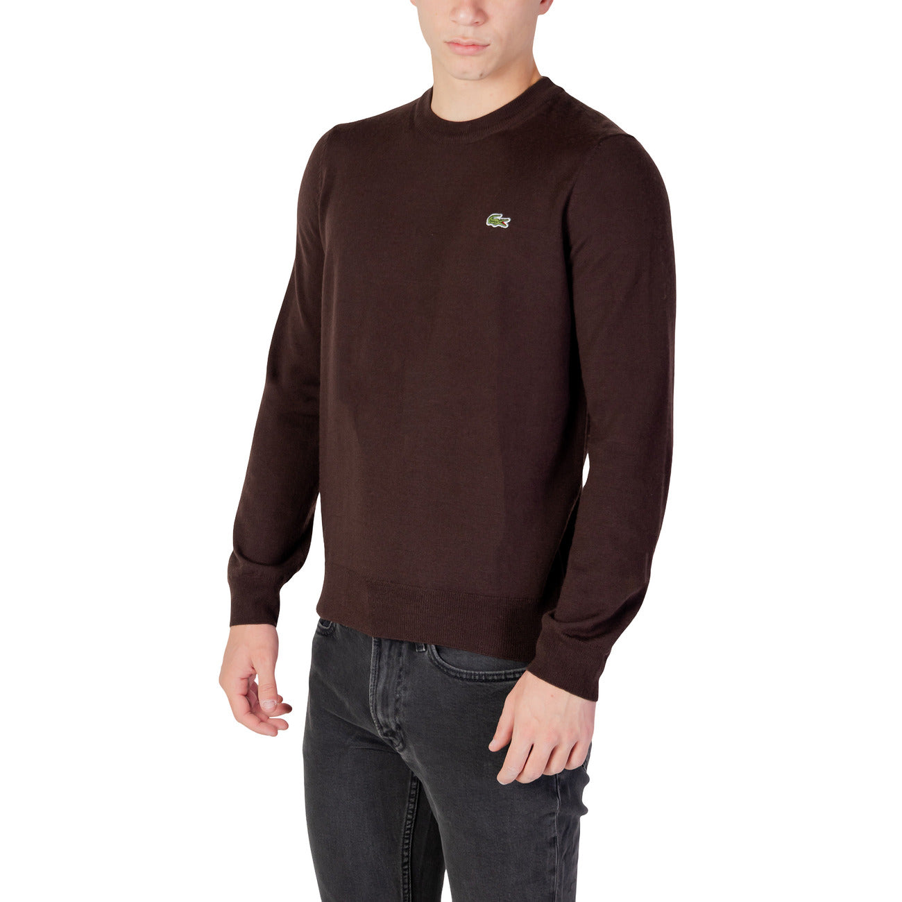 Lacoste Pullover Herren