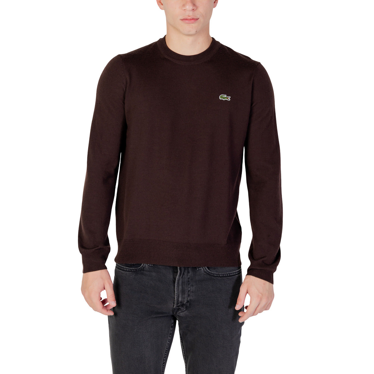 Lacoste Pullover Herren