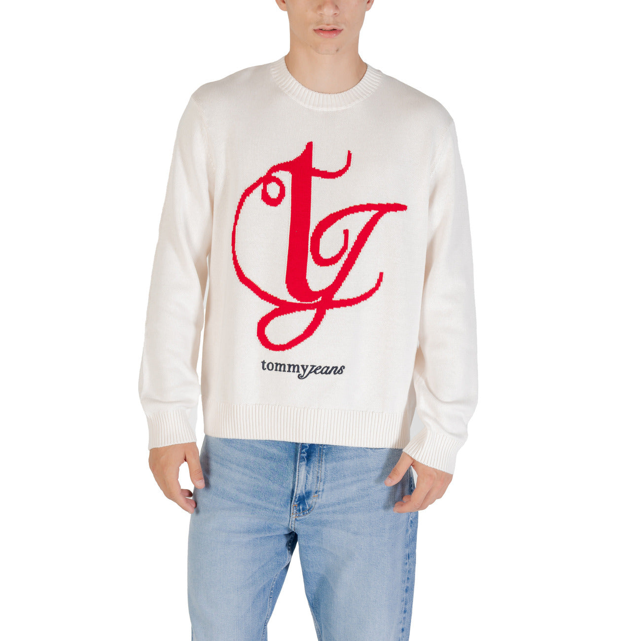 Tommy Hilfiger Jeans Pullover Herren