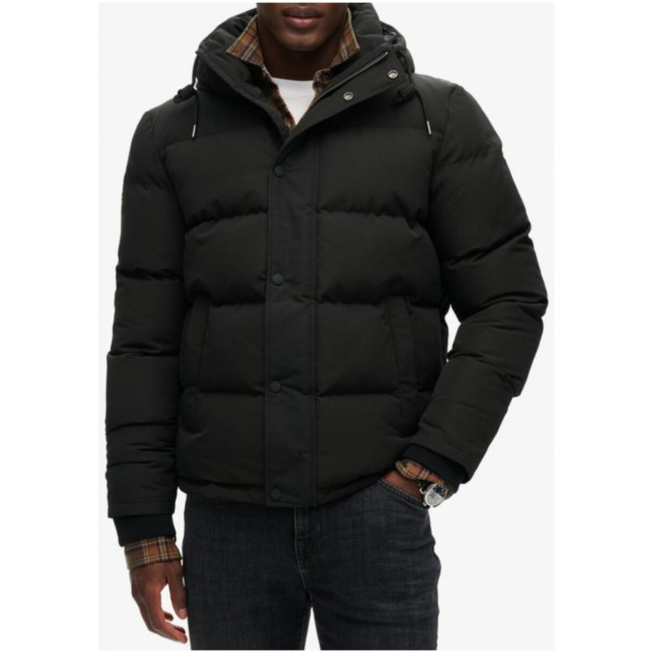 Superdry Jacke Herren
