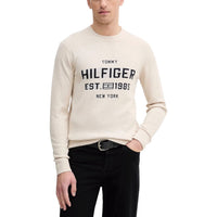 Tommy Hilfiger Pullover Herren