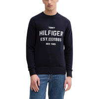Tommy Hilfiger Pullover Herren